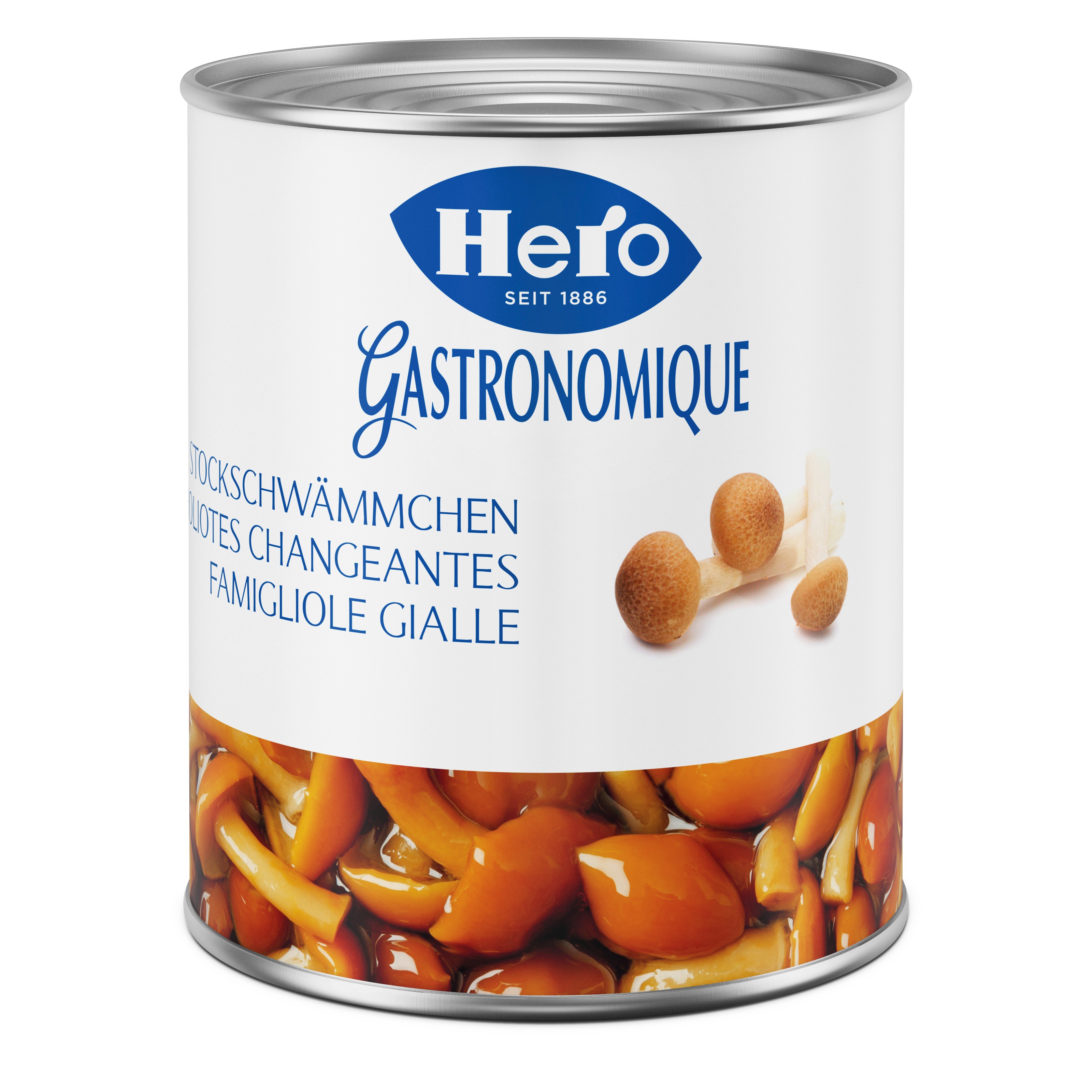 Stockschwämmchen Hero
Funghi famigliola gialla Hero