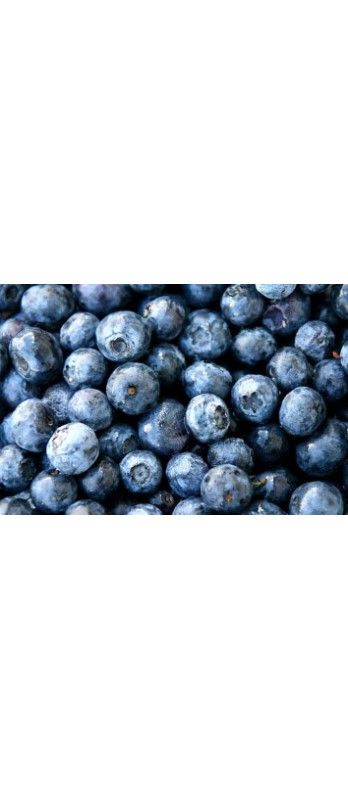 Heidelbeeren , TK
Mirtilli  surgelati