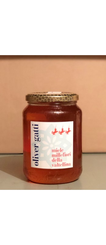Honig Ausland Millefiori Gatti
Miele Estero Millefiori 