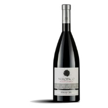 Neropaco 
Terre di Cosenza Rosso
Spadafora
