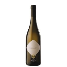 Pinot Grigio Trentino 
 LAVIS DOC EW  ** ct. grigio **