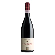 Valtellina Sfursat DOCG EW
Nino Negri